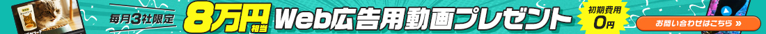 8万円相当web広告用動画プレゼント